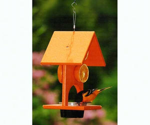 Fruit and Jelly Oriole Feeder (Product of the Month)
