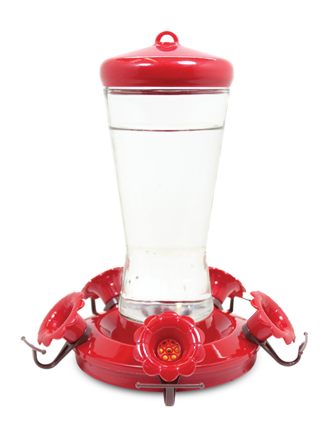 Glass Hummingbird Feeder