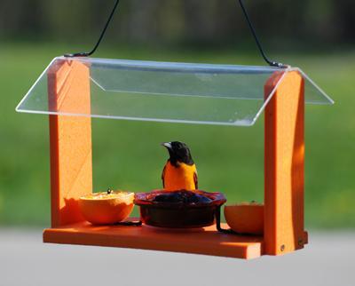 Going Green Oriole Feeder
