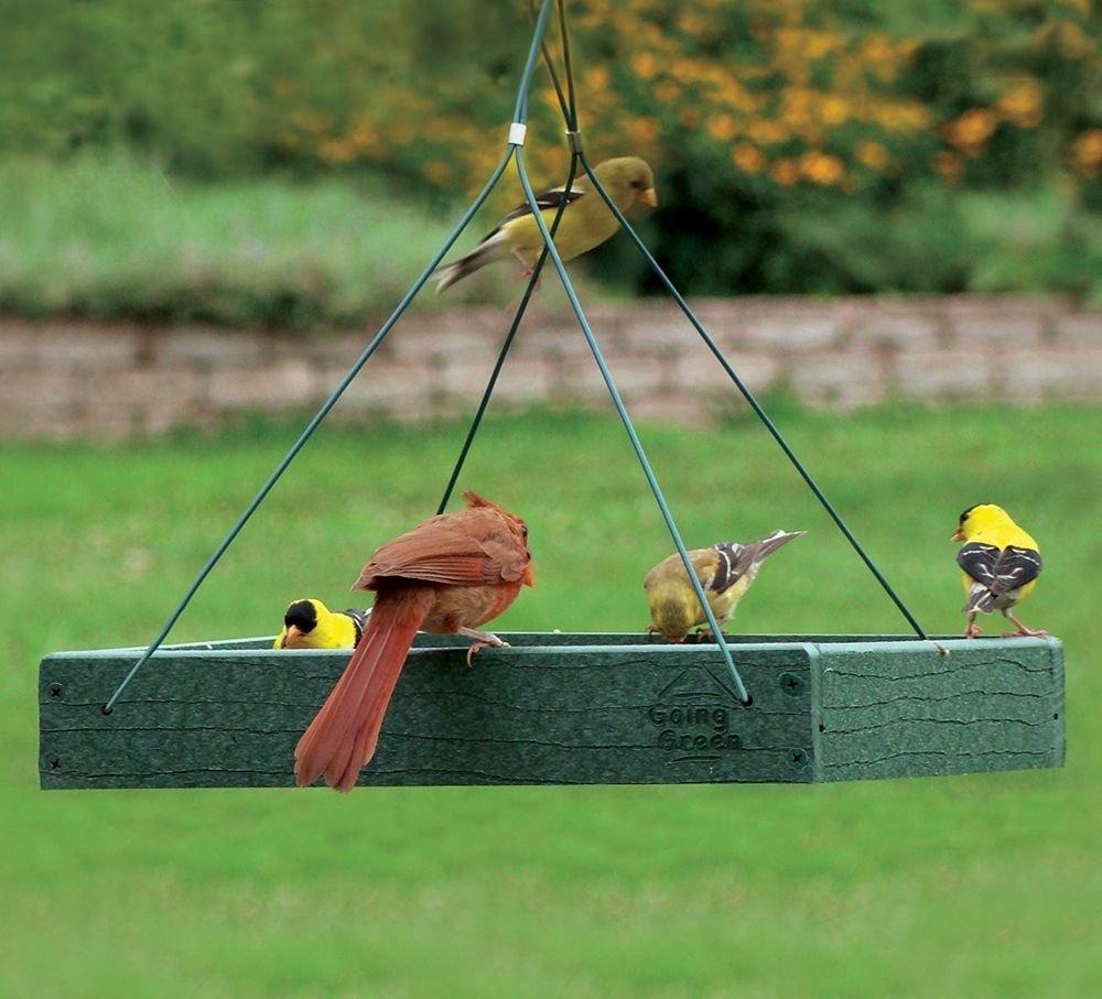 Going Green Platform Bird Feeder