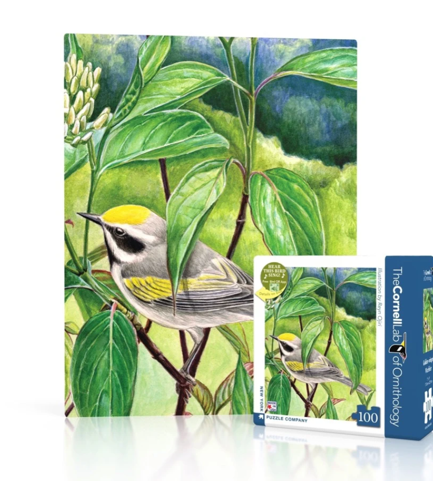 Gold-Winged Warbler 100pc Puzzle
