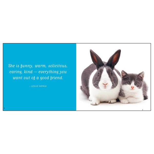 Good Friends Are Hard to Find