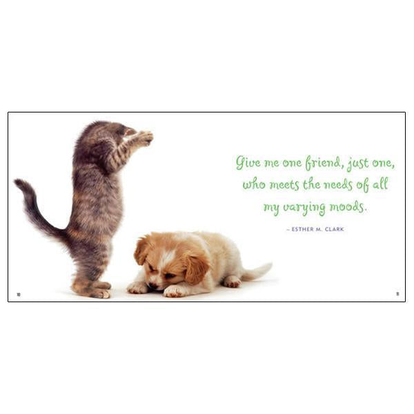 Good Friends Are Hard to Find