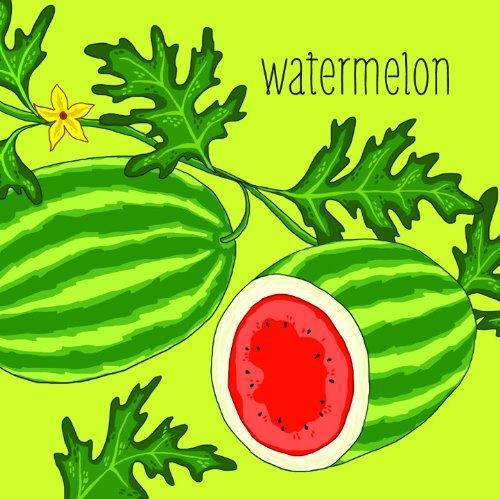 Grow a Garden Matching Game