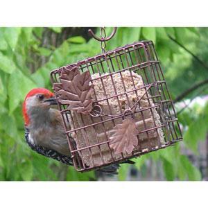 Single Leaf Decorative Suet Feeder