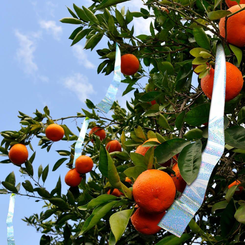 Holographic Flash Tape 2"" x 150' Roll