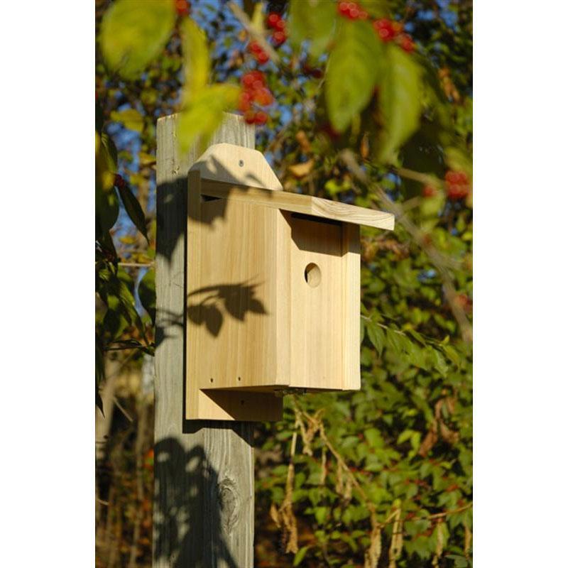 Chickadee Joy Box Birdhouse