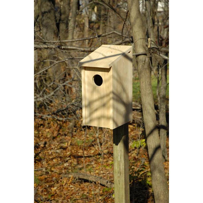 Screech Owl Joy Box Birdhouse