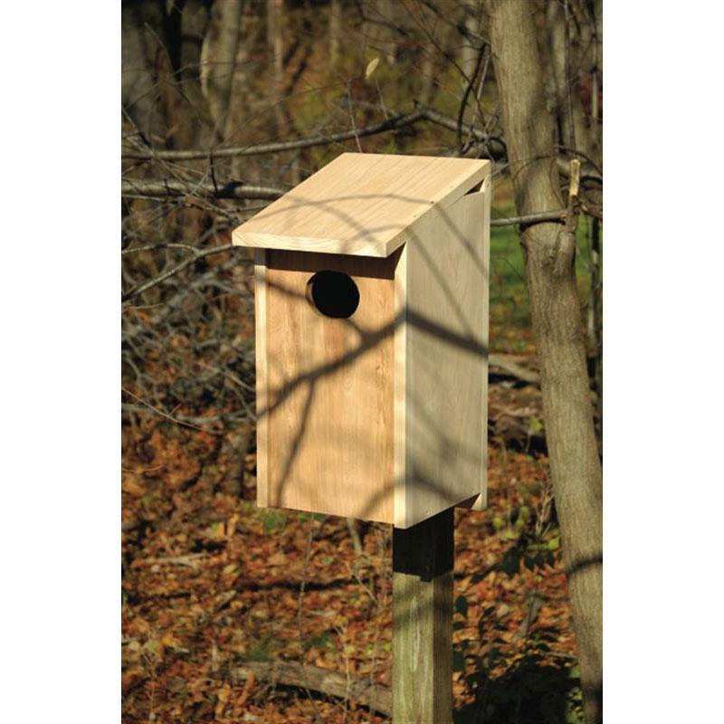 Wood Duck Joy Box Birdhouse