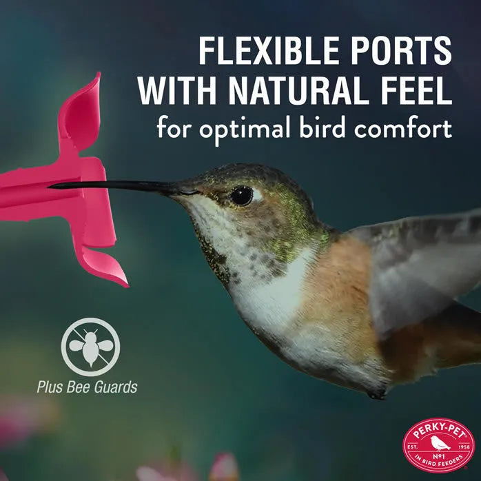 Handheld & Tabletop Hummingbird Feeder