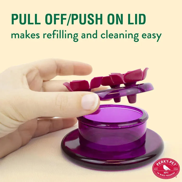 Handheld & Tabletop Hummingbird Feeder