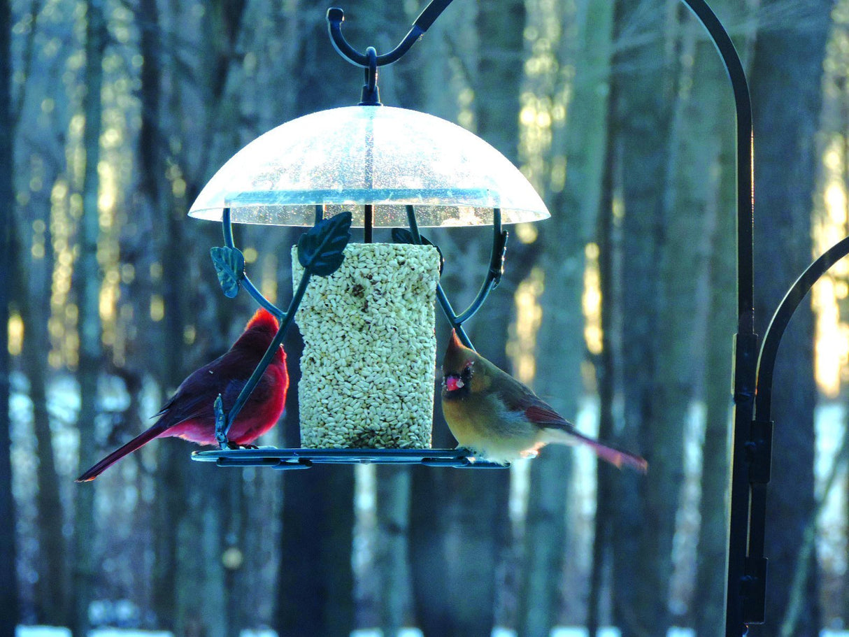 Hanging Seed Cylinder Feeder