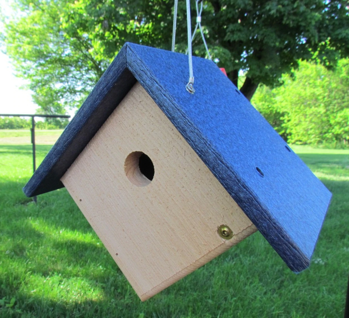 Hanging Wren House, Blue Roof