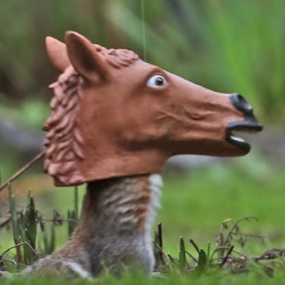 Horse Head Squirrel Feeder