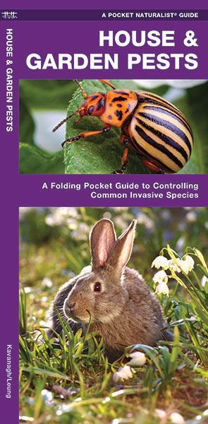 House & Garden Pests