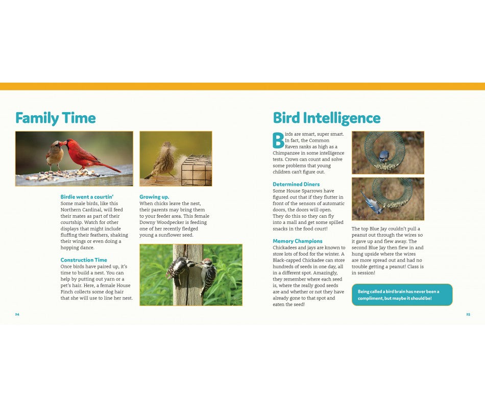 Buy How to Feed Backyard Birds A StepbyStep Guide for Kids Online With Canadian Pricing