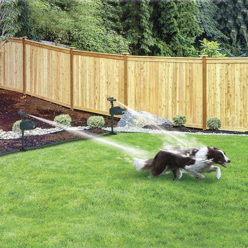 Hydro Critter Blaster