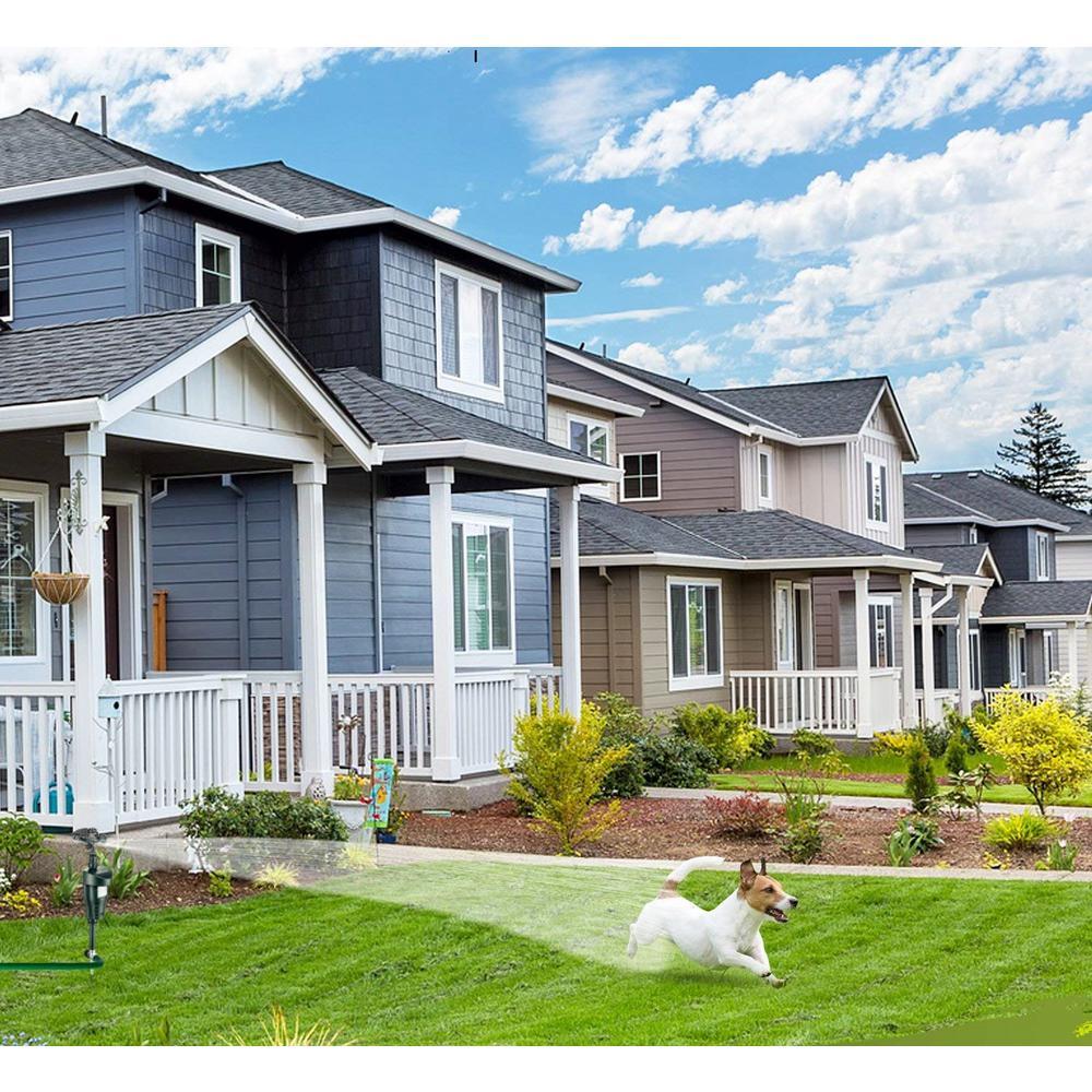 Hydro Critter Blaster