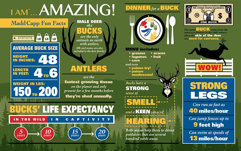 I Am Buck 300pc Puzzle