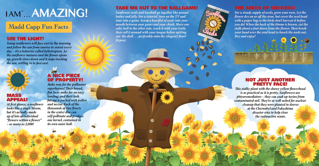 I Am Sunflower Puzzle 350pc