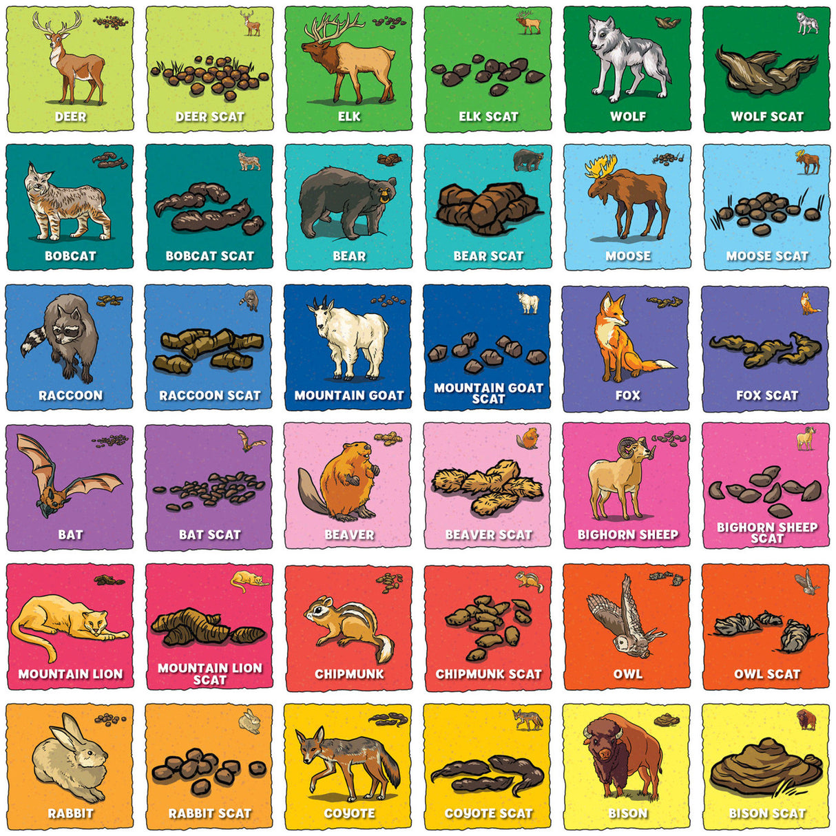 I Can Explore Animal Poop Matching Game
