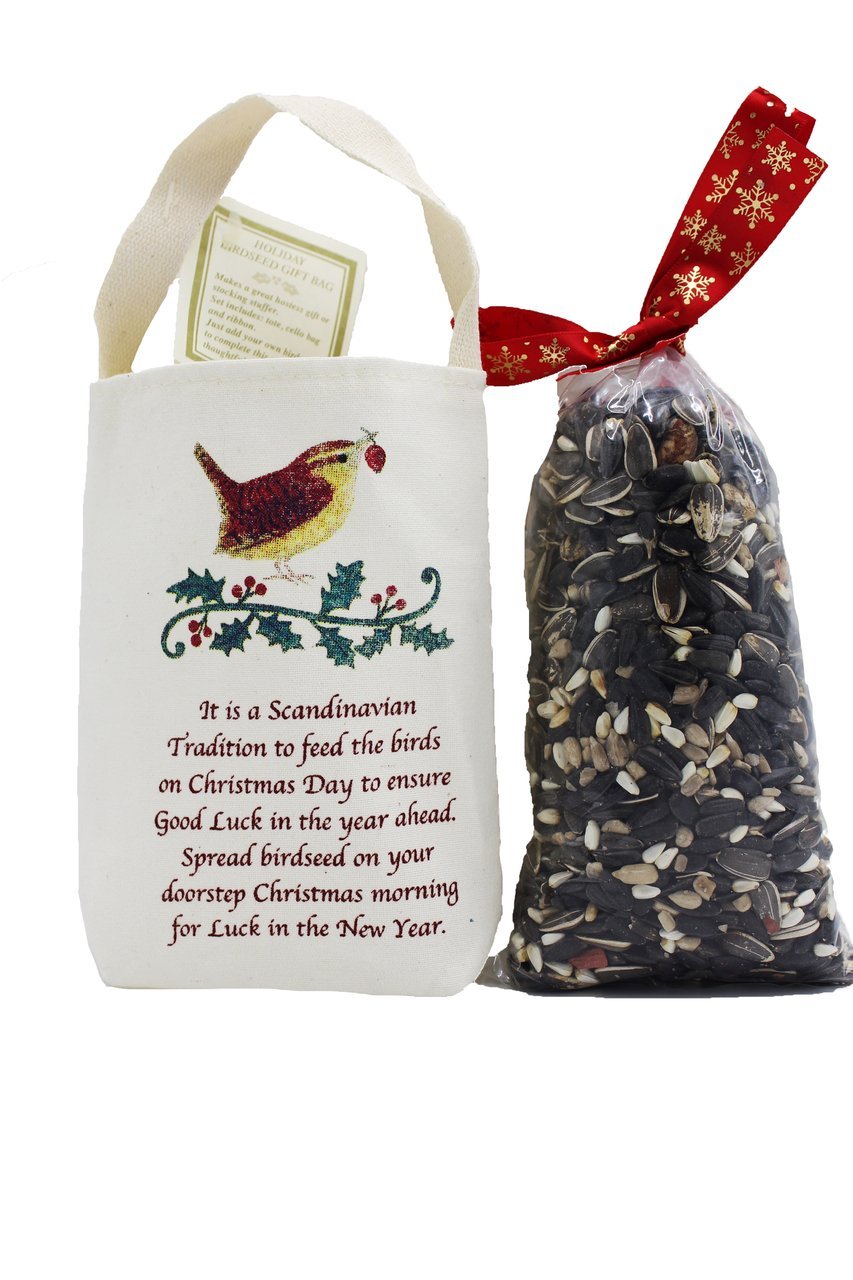 Holiday Good Luck Gift Wren w/Bird Seed