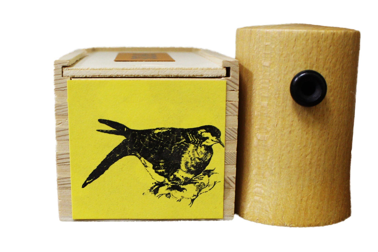 Mourning Dove Bird Call