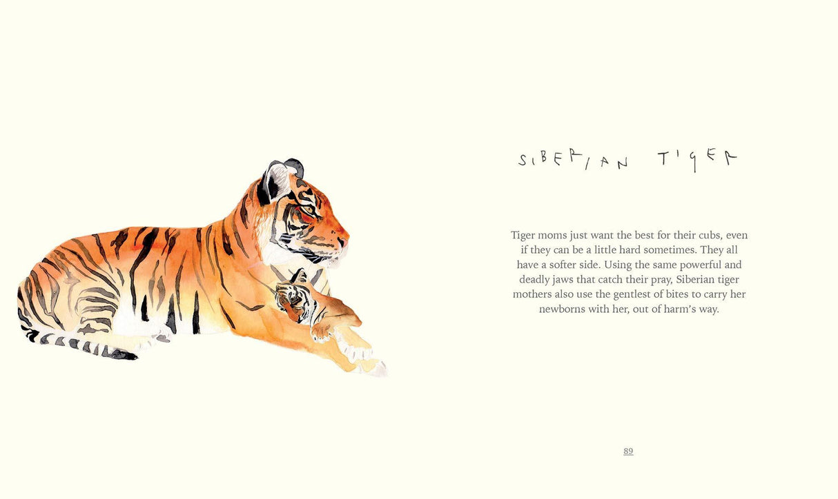 I Love You Mom, Firefly