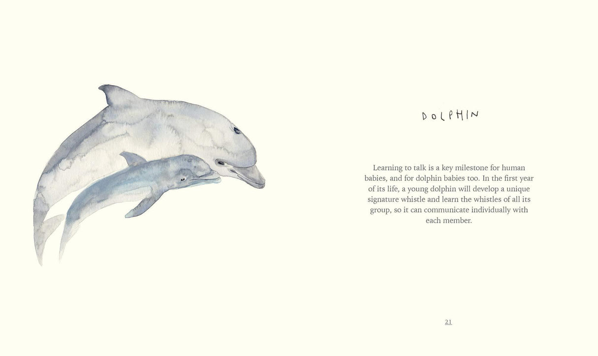 I Love You Mom, Firefly