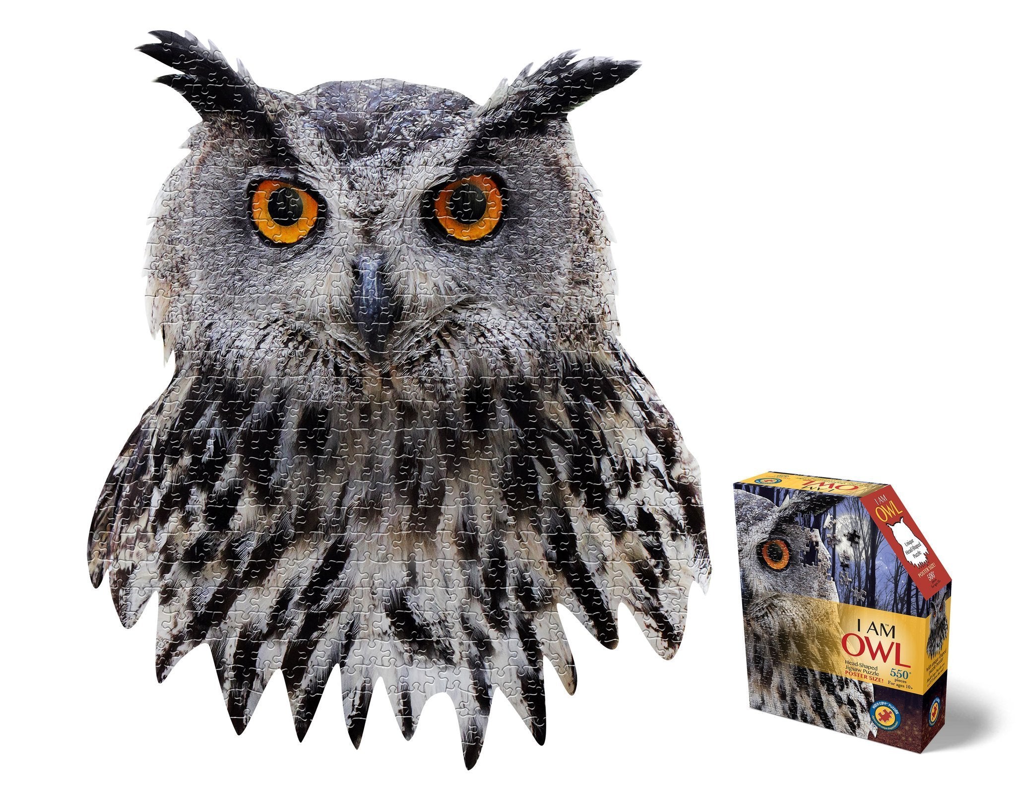 I_am_Owl_550pc_Head-