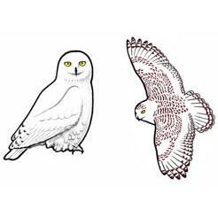 Eco Friendly Snowy Owl Earrings