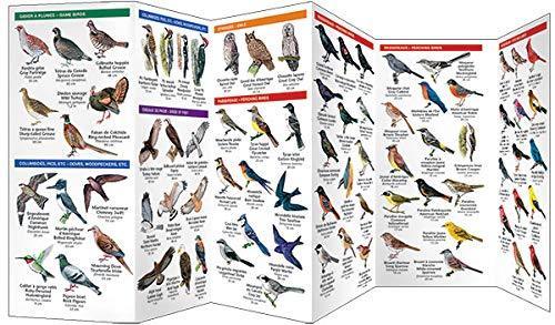 Les Oiseaux du Quebec/Quebec Birds