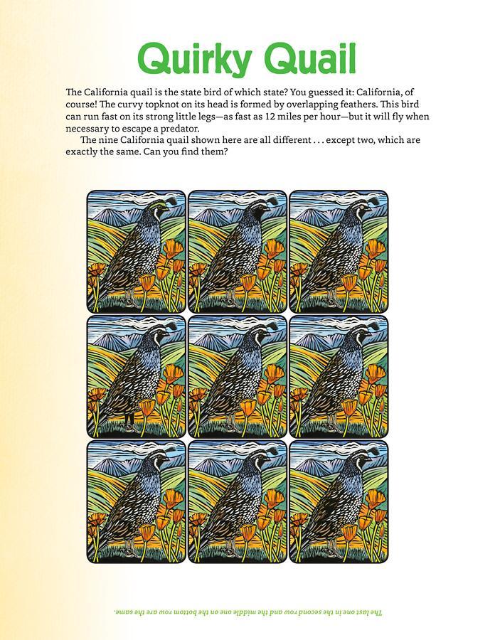 Molly Hashimoto's Art & Nature Activity Book