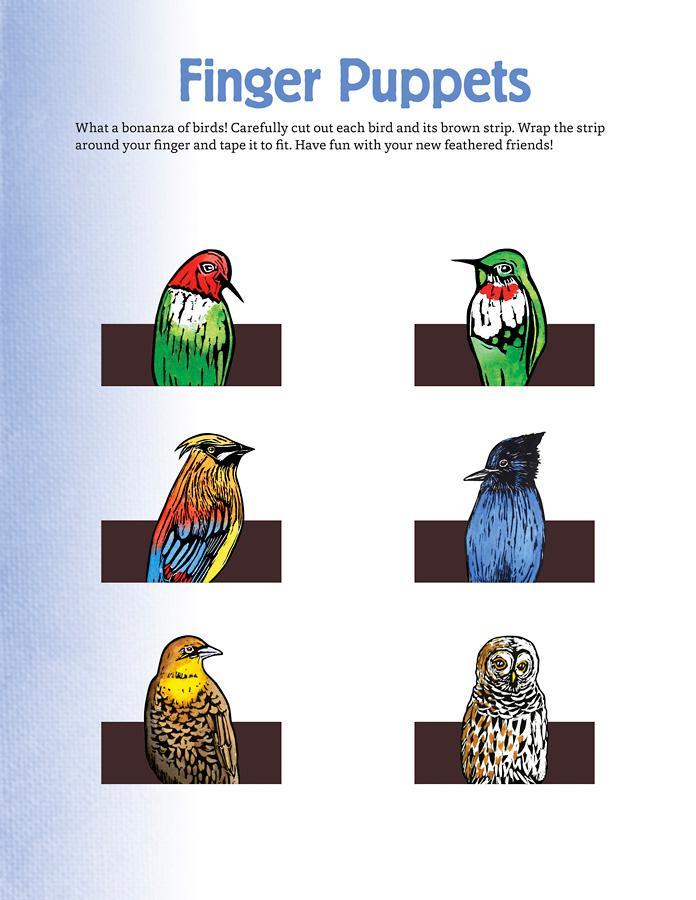 Molly Hashimoto's Art & Nature Activity Book