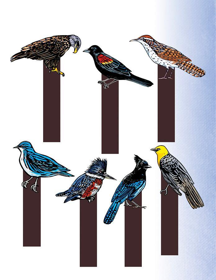 Molly Hashimoto's Art & Nature Activity Book