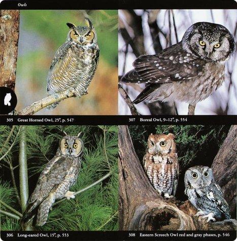 National Audubon Society Field Guide to North American Birds