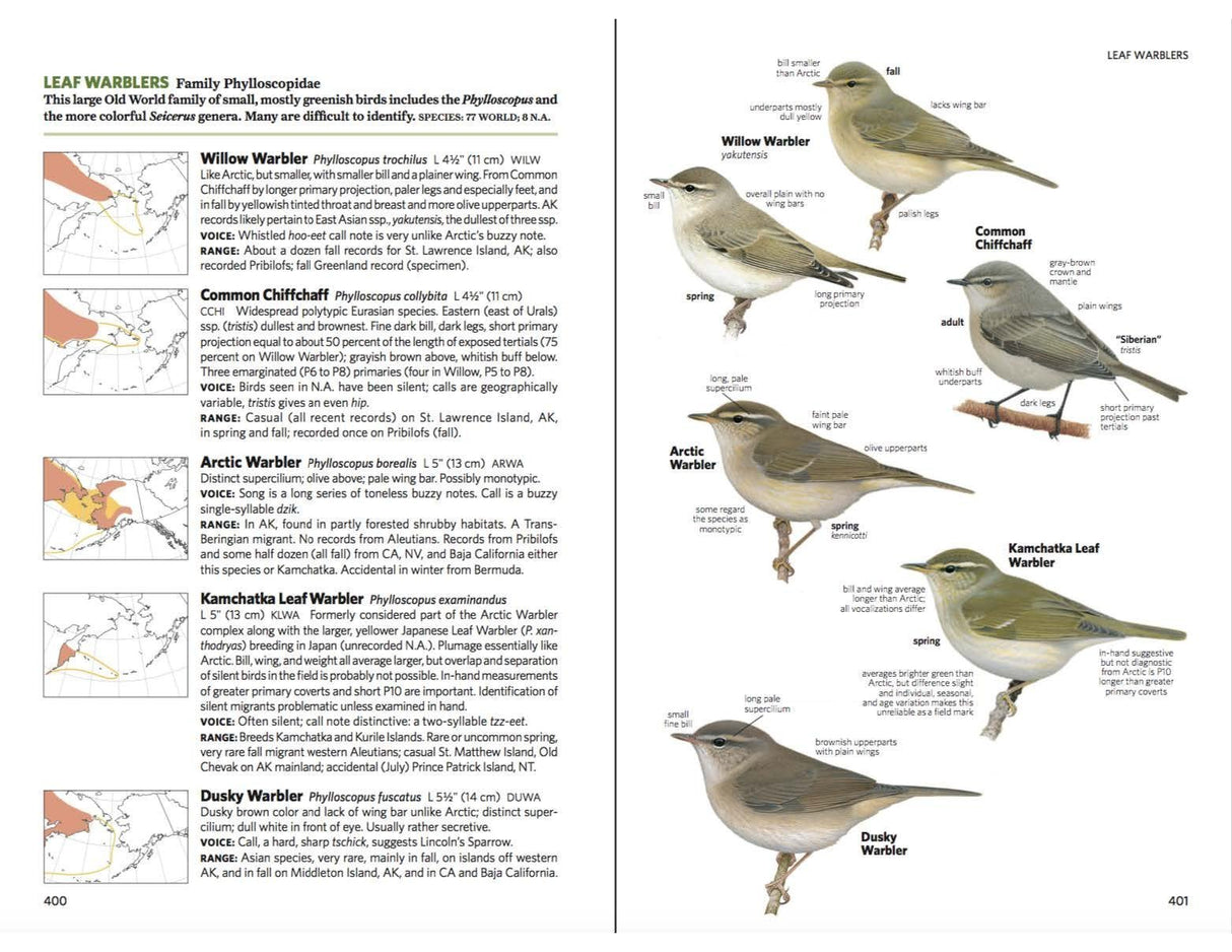 National Geographic Field Guide to the Birds of North America