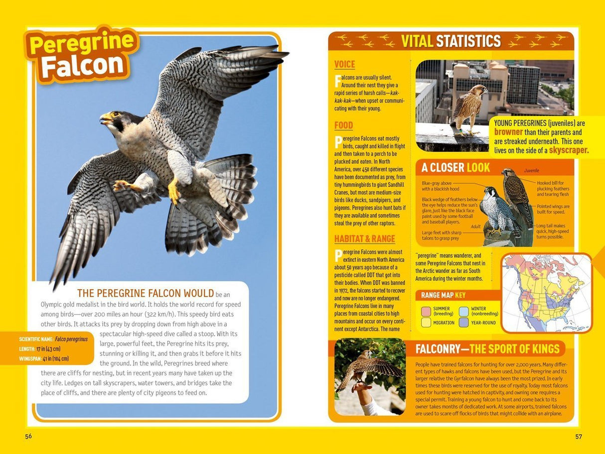National Geographic Kids Bird Guide of North America, Second Edition