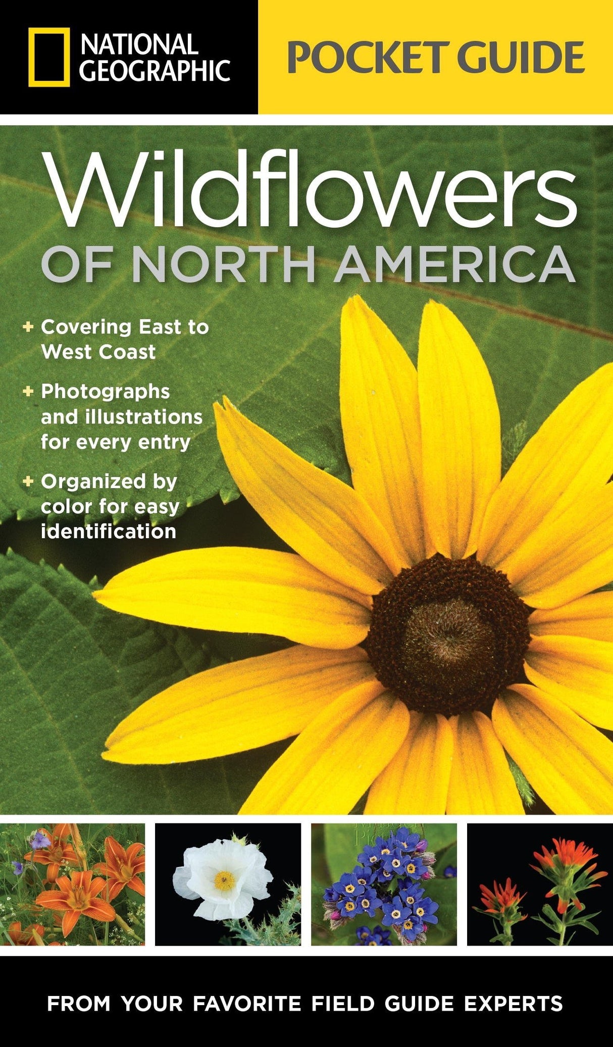 National Geographic Pocket Guide to Wildflowers of North America