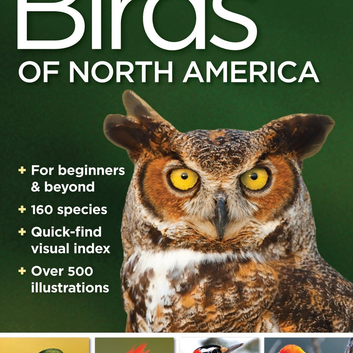 Buy National Geographic Pocket Guide to the Birds of North America ...
