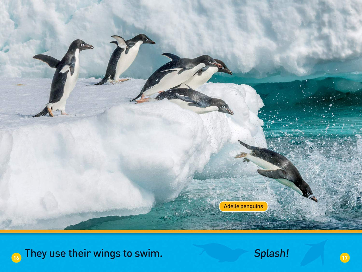National Geographic Pre-Reader: Hello, Penguin