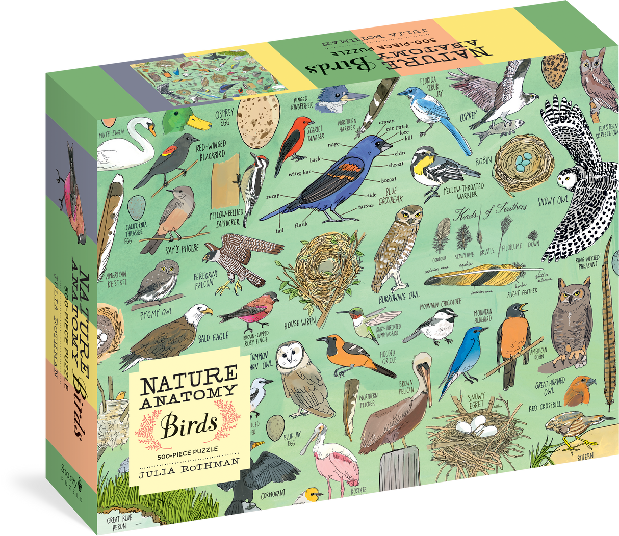 Nature Anatomy, 500pc Birds Puzzle