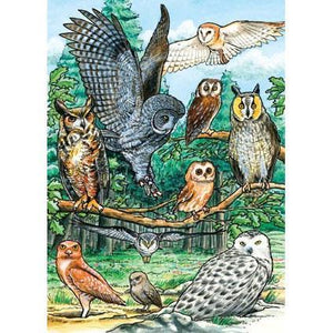 North American Owls Tray Puzzle, 35pc