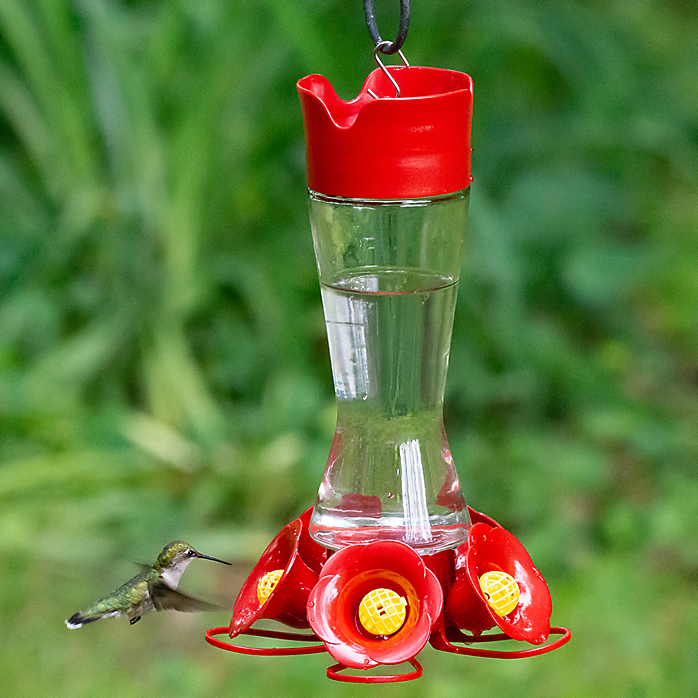 Perky-Pet Favored Pinch-Waist Hummingbird Feeder