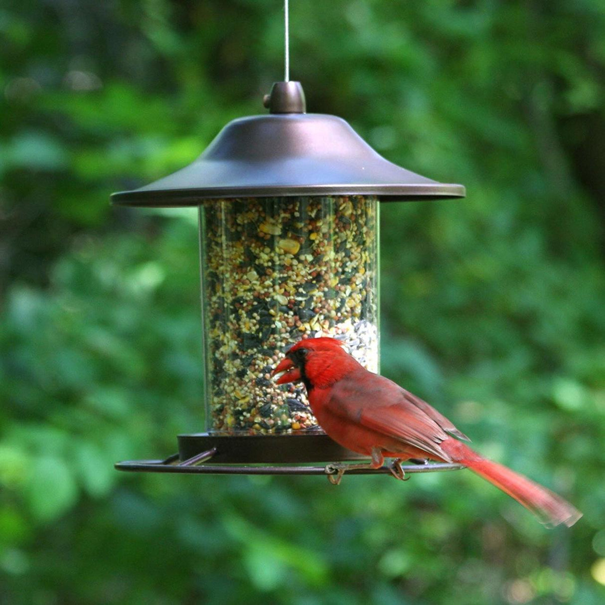 Perky-Pet Small Panorama Bird Feeder