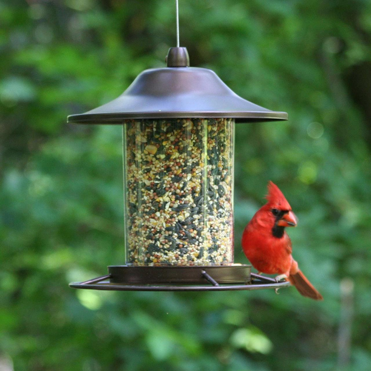 Perky-Pet Small Panorama Bird Feeder