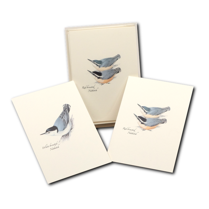 Peterson's Bird Assortment III Boxed Notes