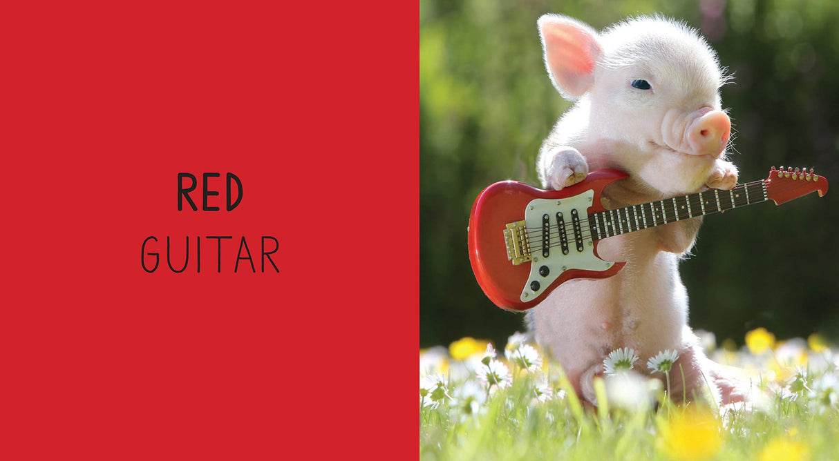 Pocket Piggies Colors!