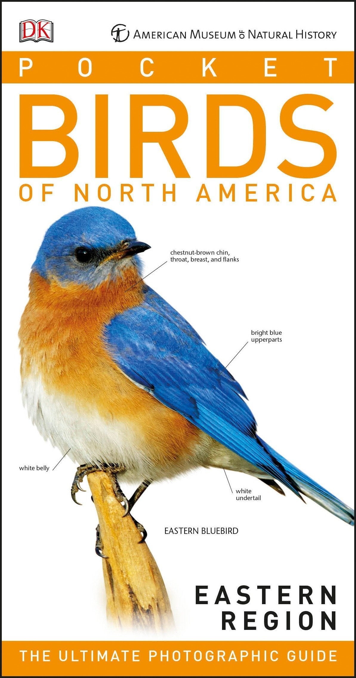 Pocket Birds of North America, Eastern Region