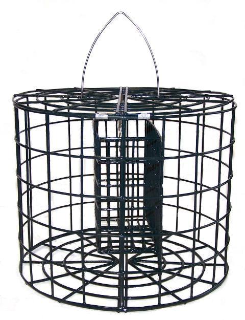 Pole Mountable Caged Suet Feeder